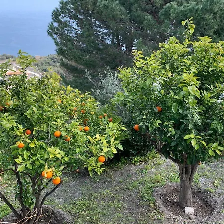 Le Cicale Lipari Villa Città di Lipari