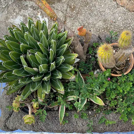 Villa Le Cicale Lipari