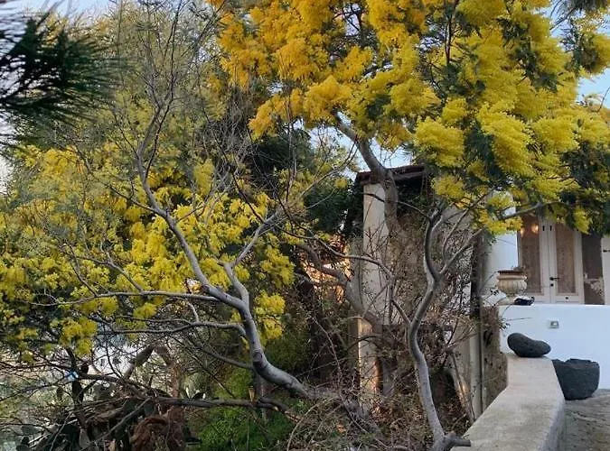 Le Cicale Villa Città di Lipari